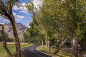 Гостиница Rancho Vistoso #113B  Oro Valley